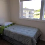 Comfortable And Quiet Apartment. Pelluco Alto